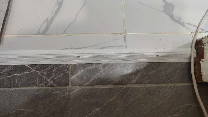 Порог разноуровневый ПР 03.1800.042л Шампань